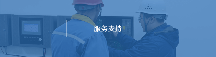 ����֧��