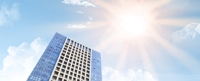 3377�����羺(����)�ֻ�ƽ̨���޹�˾