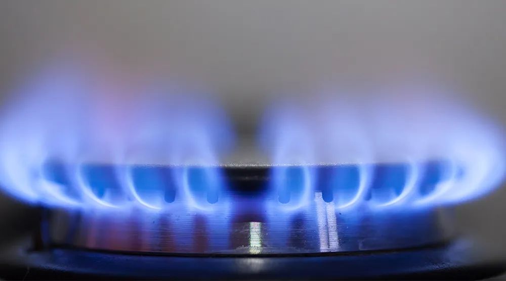 ����������������������Щ ȼ������������Ҫ��