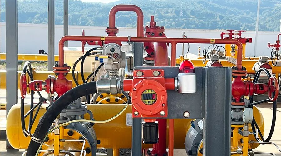 3377ֻƽ̨|ͬβְװ̽