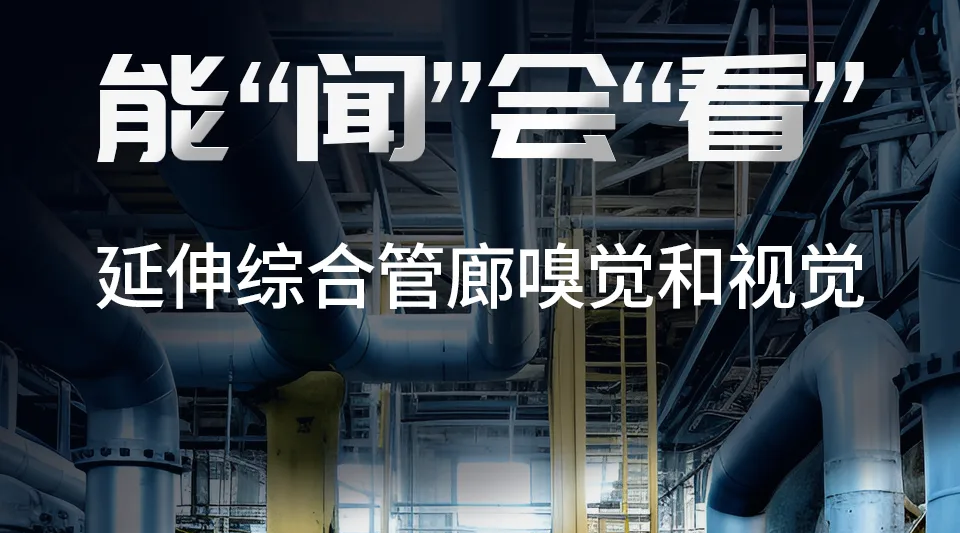 ��ѧ��������˶��|3377�����ֻ�ƽ̨�����ٻ�2024��Ⱥ���ʡ��ѧ��������