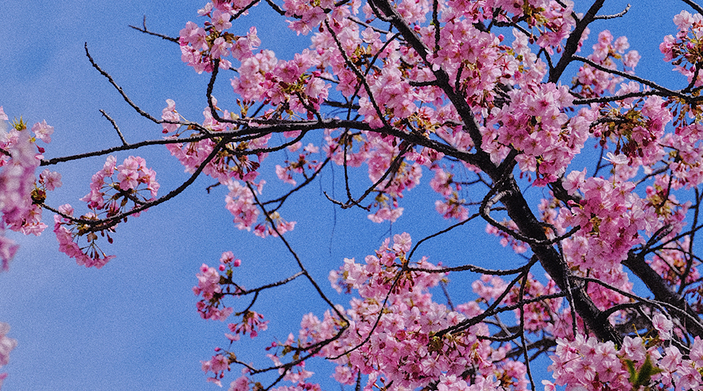 ���մ���|��������ʱ