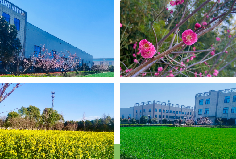 ⲻ·|3377ֻƽ̨조շܶ