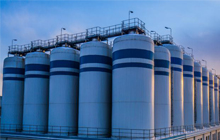 3377�����羺(����)�ֻ�ƽ̨���޹�˾